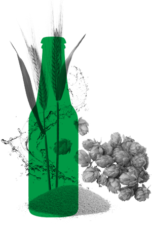 compo_houblon_bouteille Illustration d'une bouteille verte avec des images de houblon, de grains et d'épis de blé, représentant les ingrédients naturels de la bière.