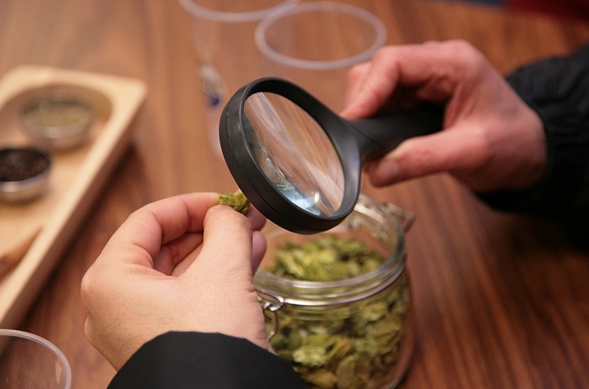Recettes concoctees grand soin Le houblon à la loupe
