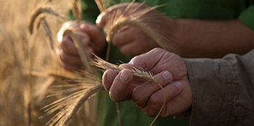tuiles_impact_ecosysteme Impact positif sur nos écosystèmes